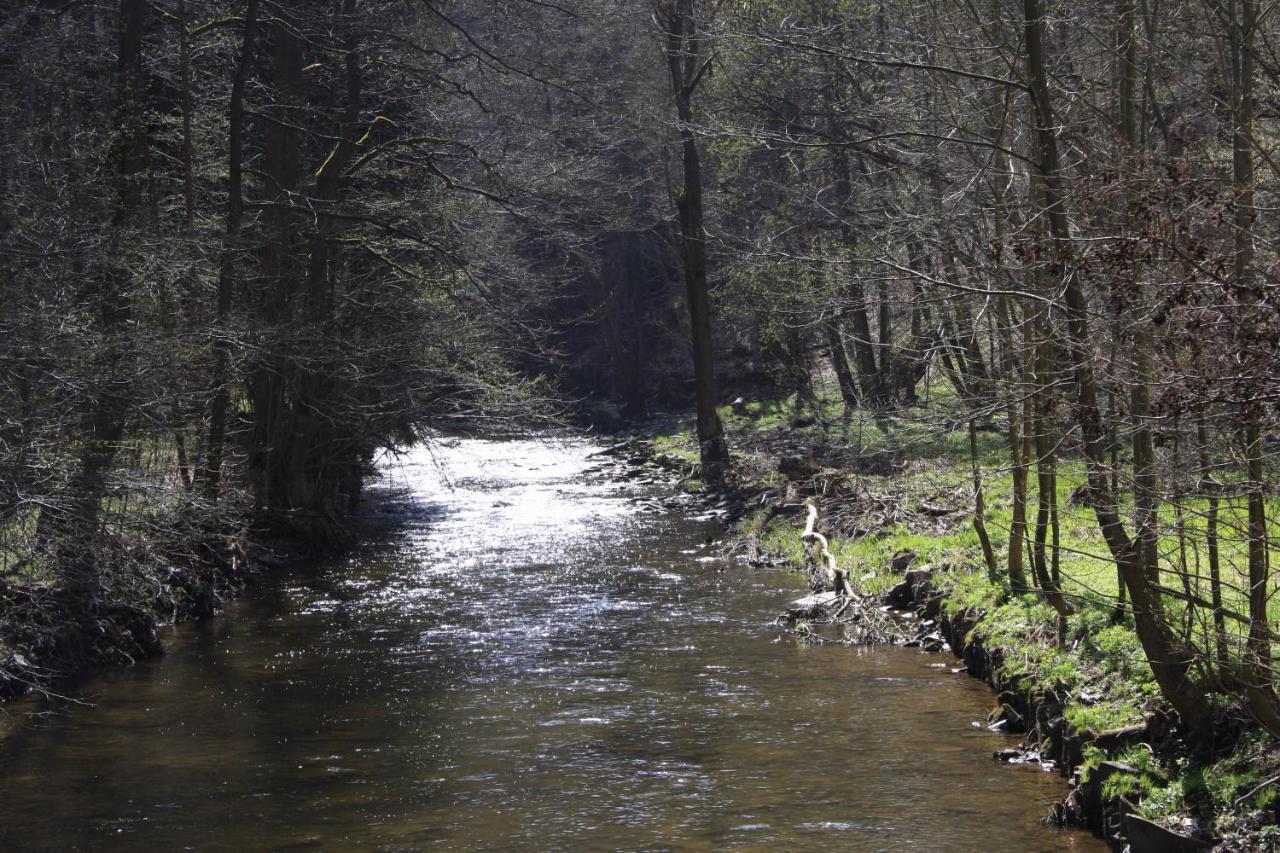 Hotel Waldfrieden Elsterberg ภายนอก รูปภาพ